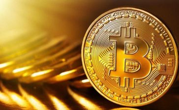 Cara Trading Bitcoin Sampai Bisa Untung Besar
