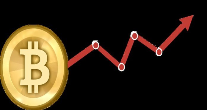 Cara Membaca Grafik Bitcoin dengan Mudah